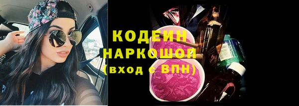 твердый Инсар
