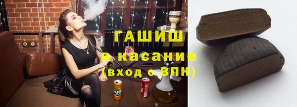 твердый Инсар