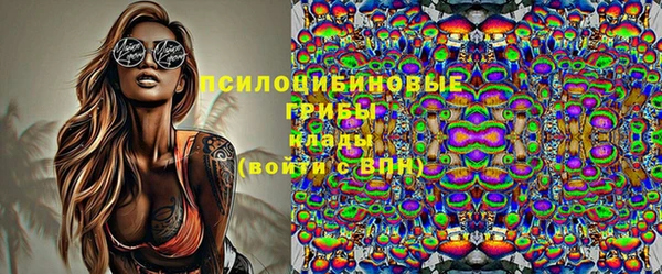 твердый Инсар
