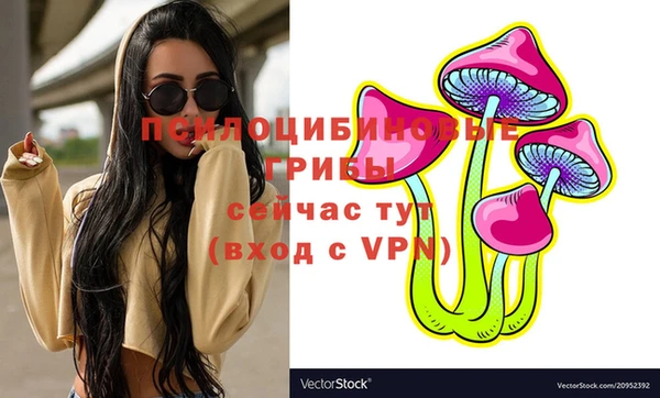 меф Инта