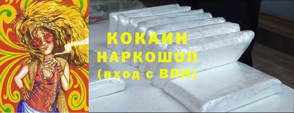 твердый Инсар